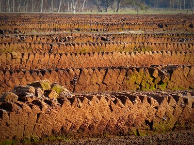 Peat potting soil Free photos photo