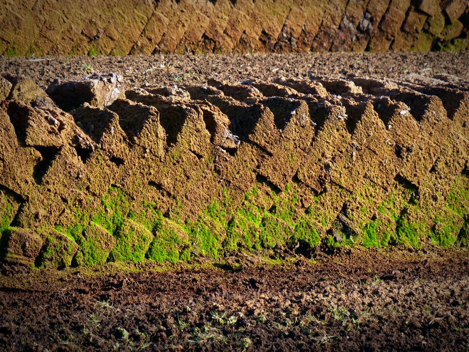 Peat potting soil Free photos