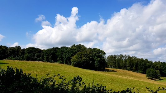Eperheide-De Molt (1)