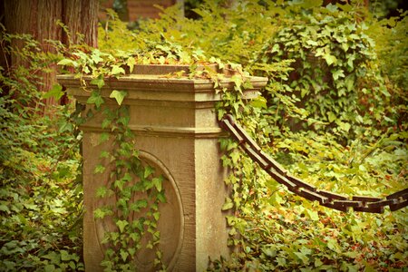 Mystical wild tombstone photo