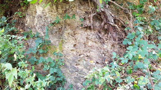 Epen-Geologisch monument Terziet (9)