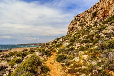 Scenery nature coast