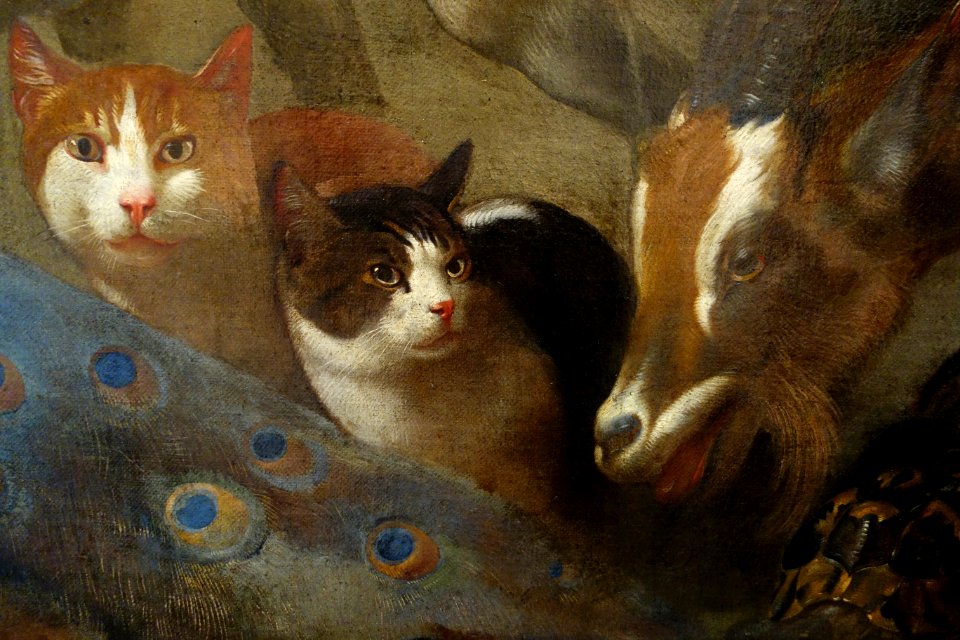 Entry of the Animals into the Ark, by il Grechetto (Giovanni Benedetto Castiglione), view 2, undated, oil on canvas - Accademia Ligustica di Belle Arti - DSC02193