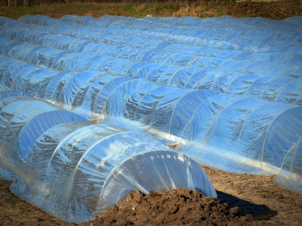 Plan coverage covered growing trays