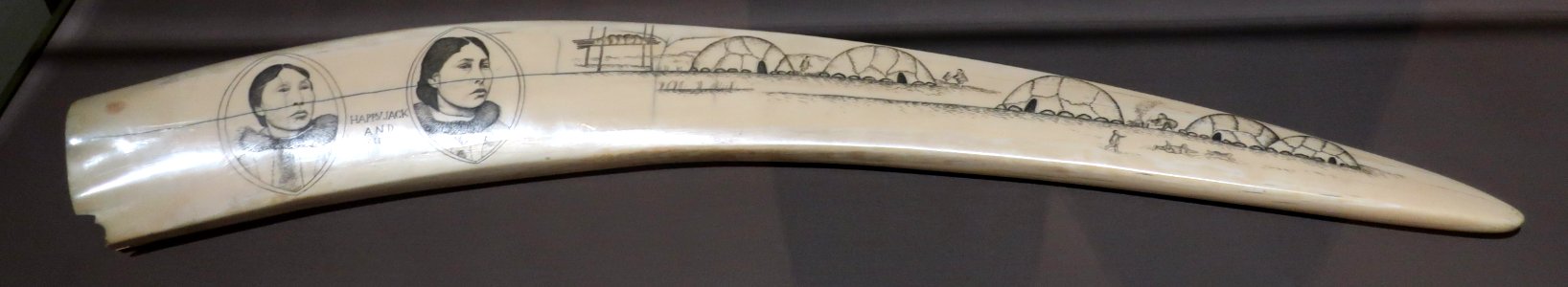 Engraved walrus tusk by Angokwazhuk (Happy Jack)