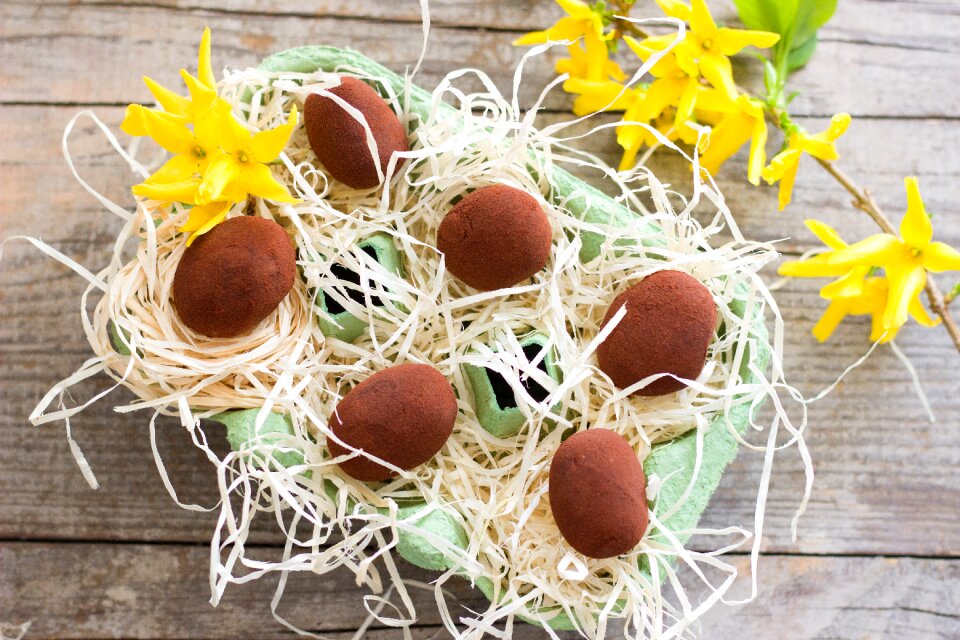 Chocolate candy nibble