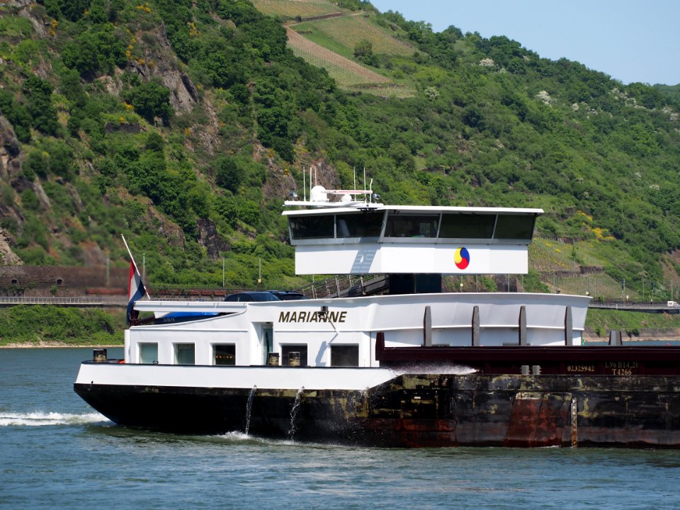 ENI 02325942 & ENI 02326253 near Sankt Goar-Oberwesel pic10