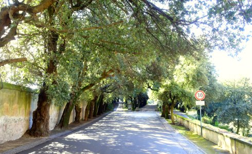 Entryway - Barberini Gardens - Castel Gandolfo - DSC04264
