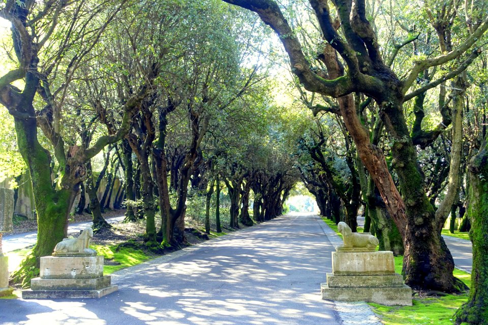 Entryway - Barberini Gardens - Castel Gandolfo - DSC04271