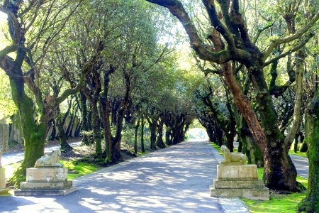Entryway - Barberini Gardens - Castel Gandolfo - DSC04271