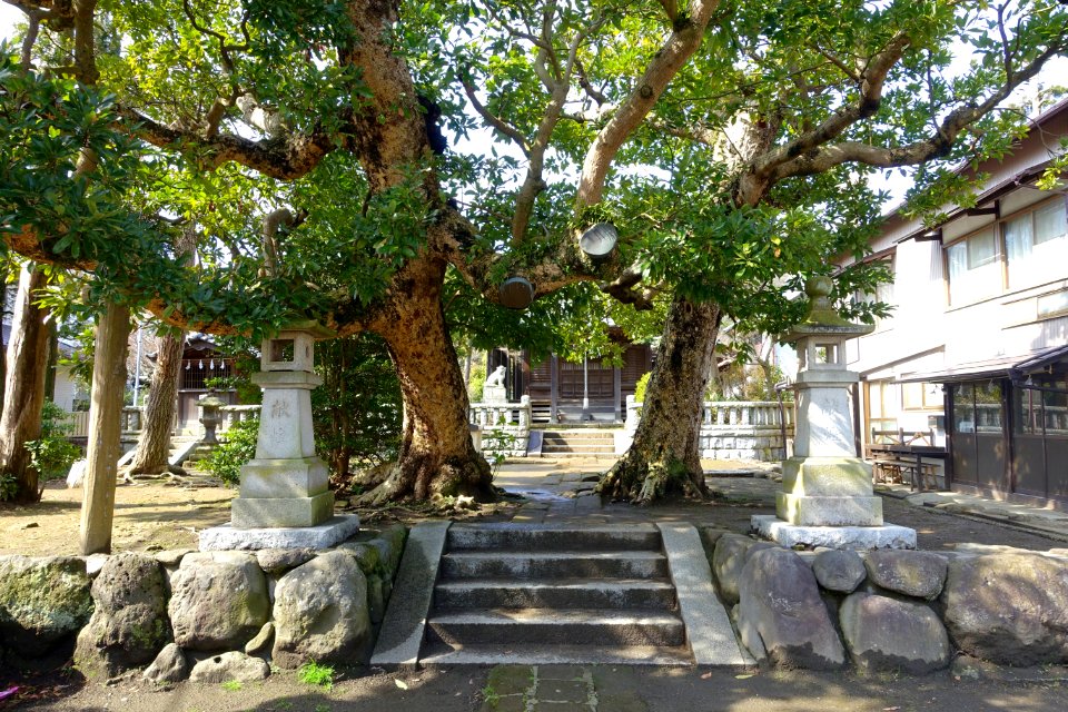 Entry - Yasaka Daijin Shrine - Kamakura, Kanagawa, Japan - DSC07913