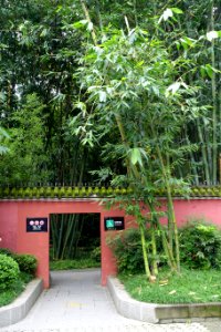 Entry - Wangjianglou Park - Chengdu, China - DSC05700