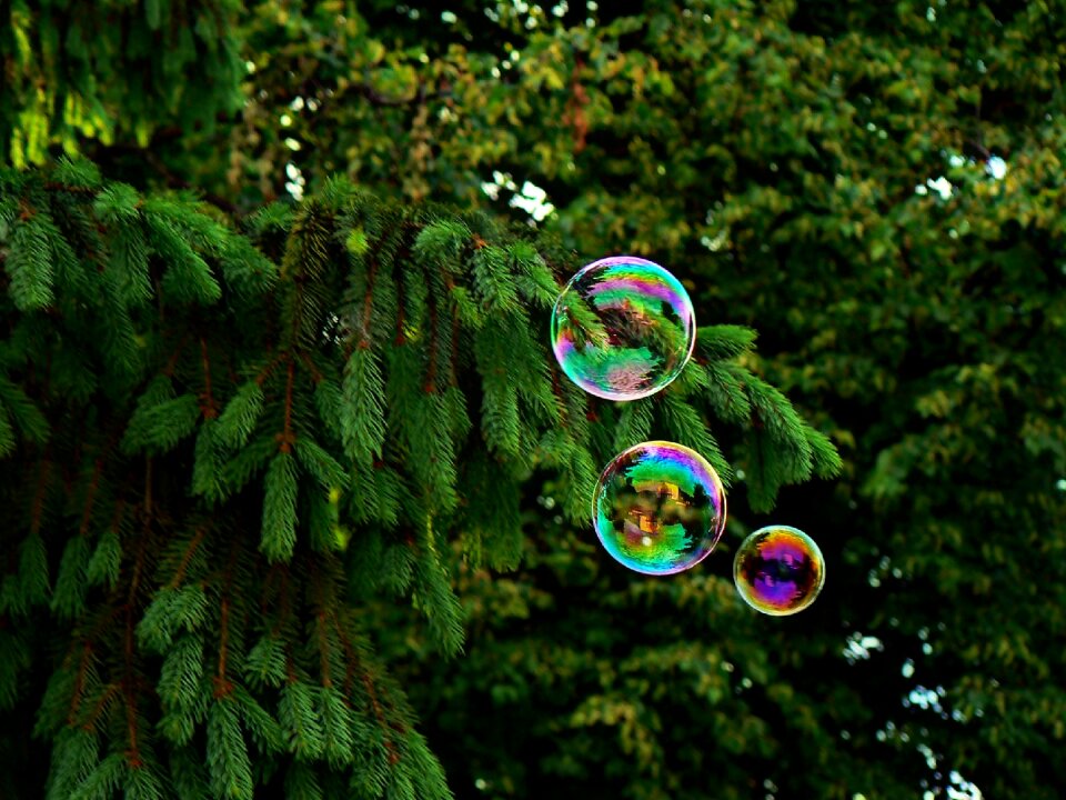 Bubbles day kids