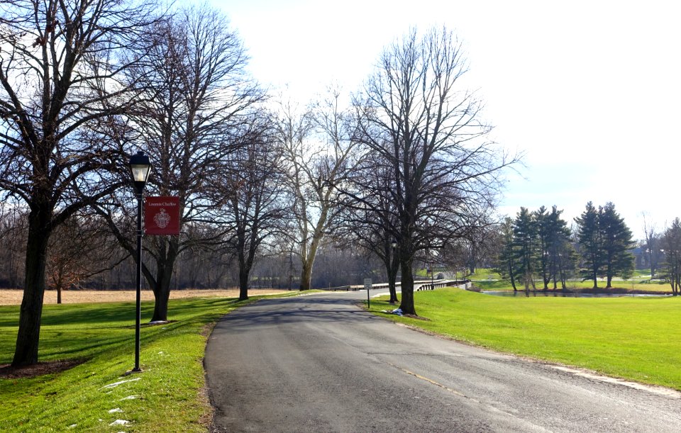 Entry drive - Loomis Chaffee School - Windsor, Connecticut - DSC04777
