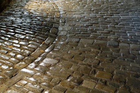 Entryway cobbles - Feste Marienberg - Würzburg, Germany - DSC05193