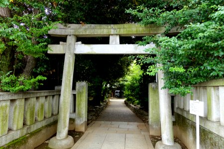 Entry - Shibuya Hikawa-jinja - Shibuya, Tokyo, Japan - DSC05519