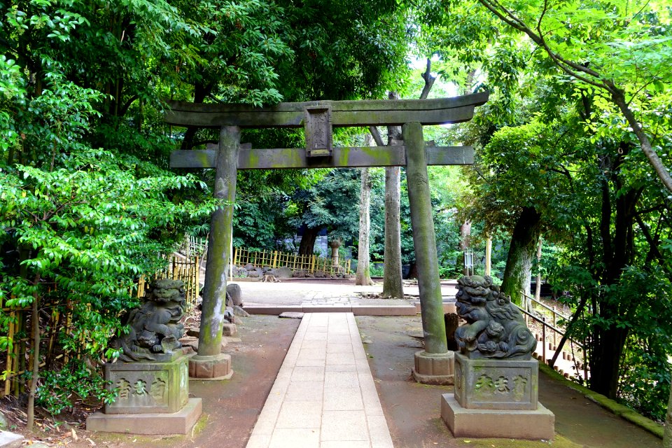 Entry - Shibuya Hikawa-jinja - Shibuya, Tokyo, Japan - DSC05493