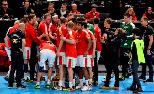 Equipe du Danemark 2-20160110