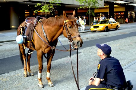 Street style police city