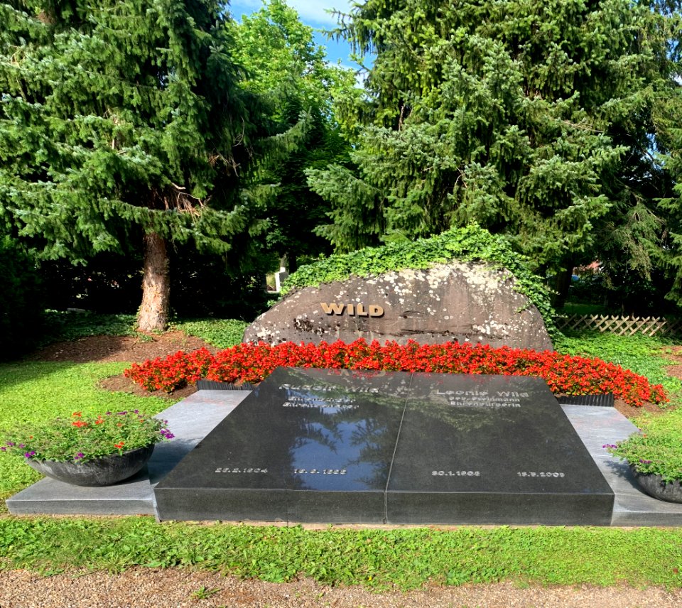 Eppelheim, Friedhof, Grab Wild