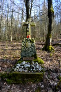 Eppstein, Sauer-Kreuz