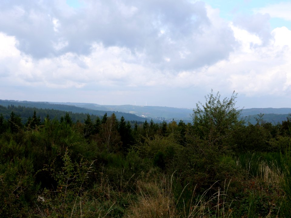 Erkensruhr valley to Gierberg 21