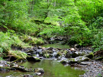 Erkensruhr near Hirschrott 02