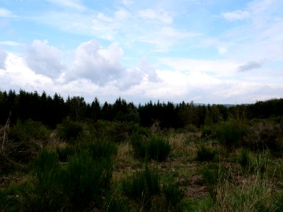 Erkensruhr valley to Gierberg 18