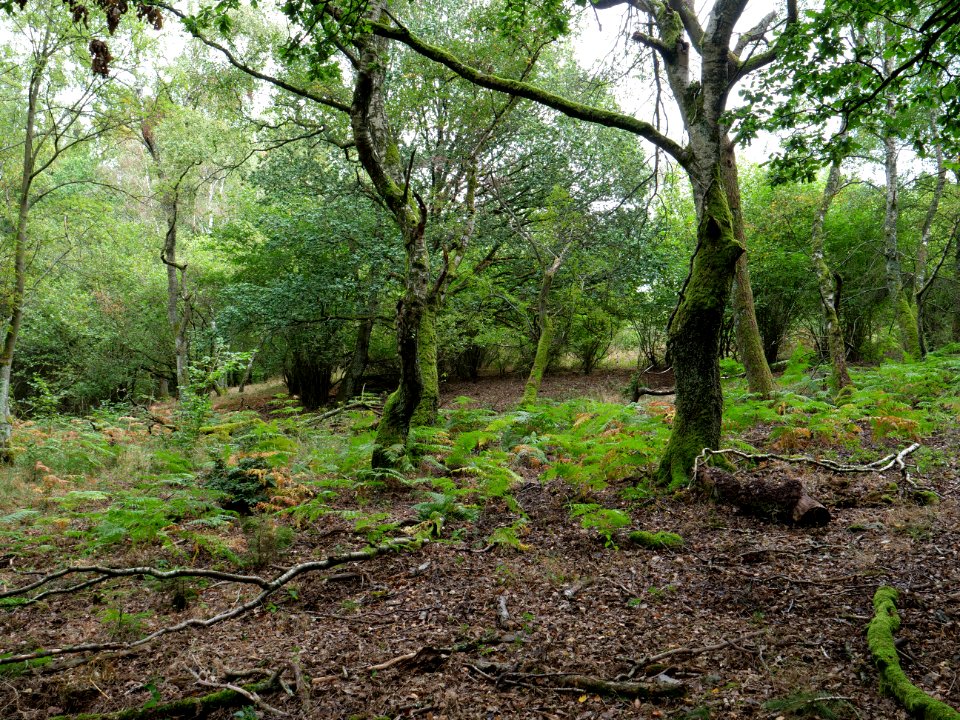 Erkensruhr valley to Gierberg 11