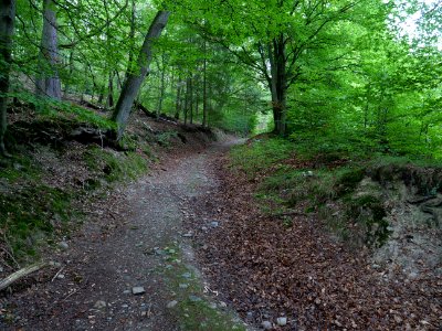 Erkensruhr valley to Gierberg 07
