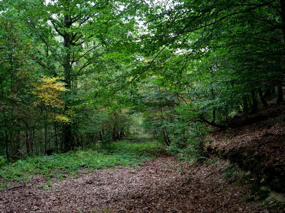 Erkensruhr valley to Gierberg 05