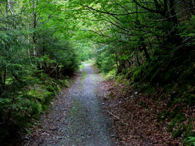 Erkensruhr valley to Gierberg 04