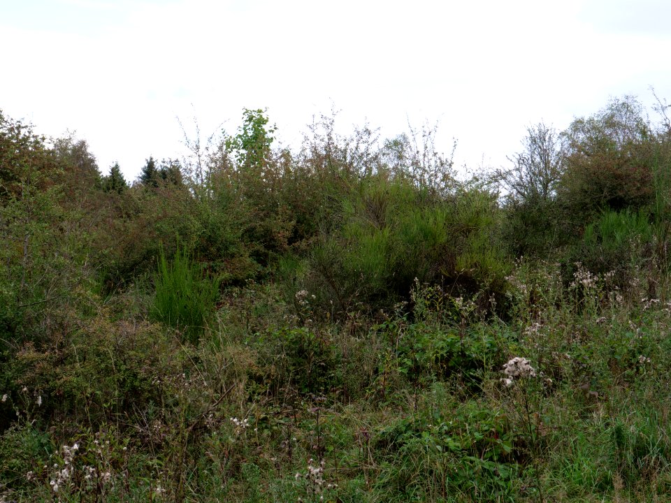 Erkensruhr valley to Gierberg 13