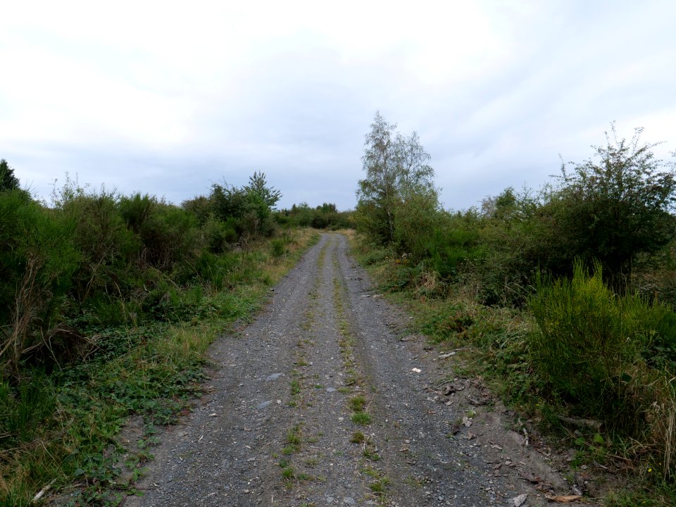 Erkensruhr valley to Gierberg 24