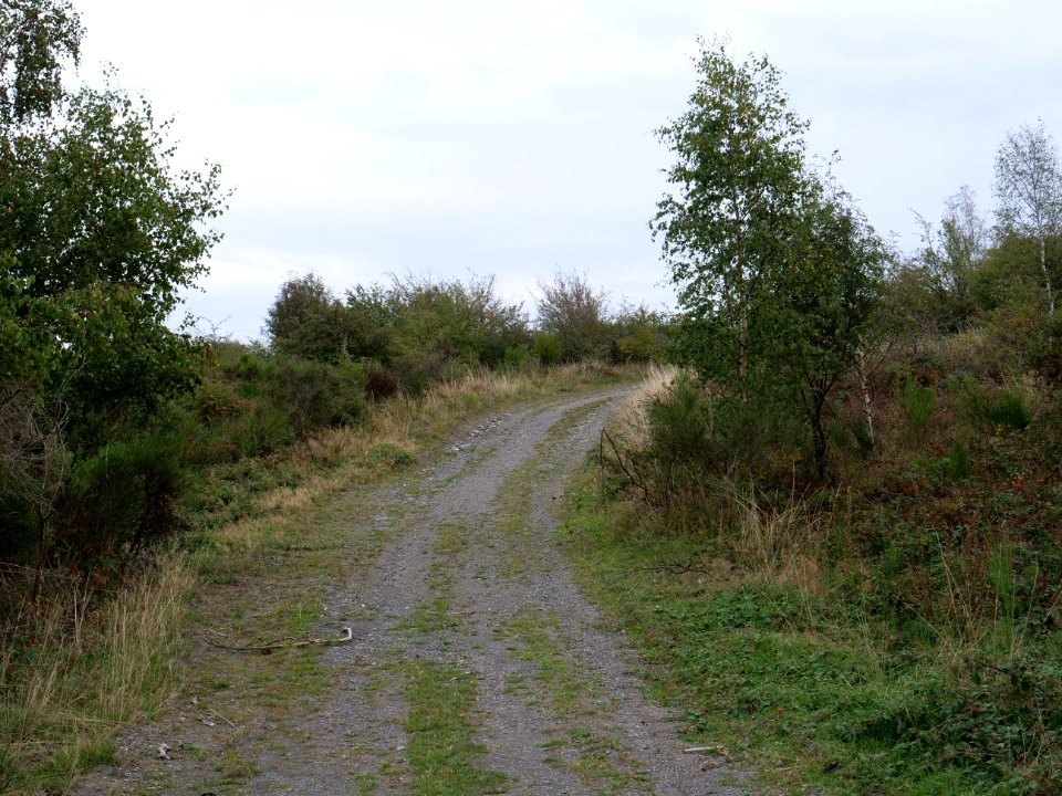Erkensruhr valley to Gierberg 20