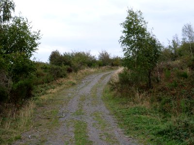 Erkensruhr valley to Gierberg 20
