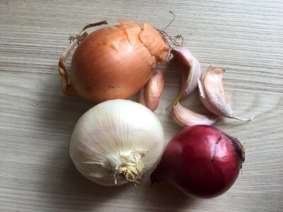 Red onion colorful garlic photo