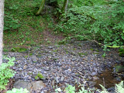 Erkensruhr near Hirschrott 01