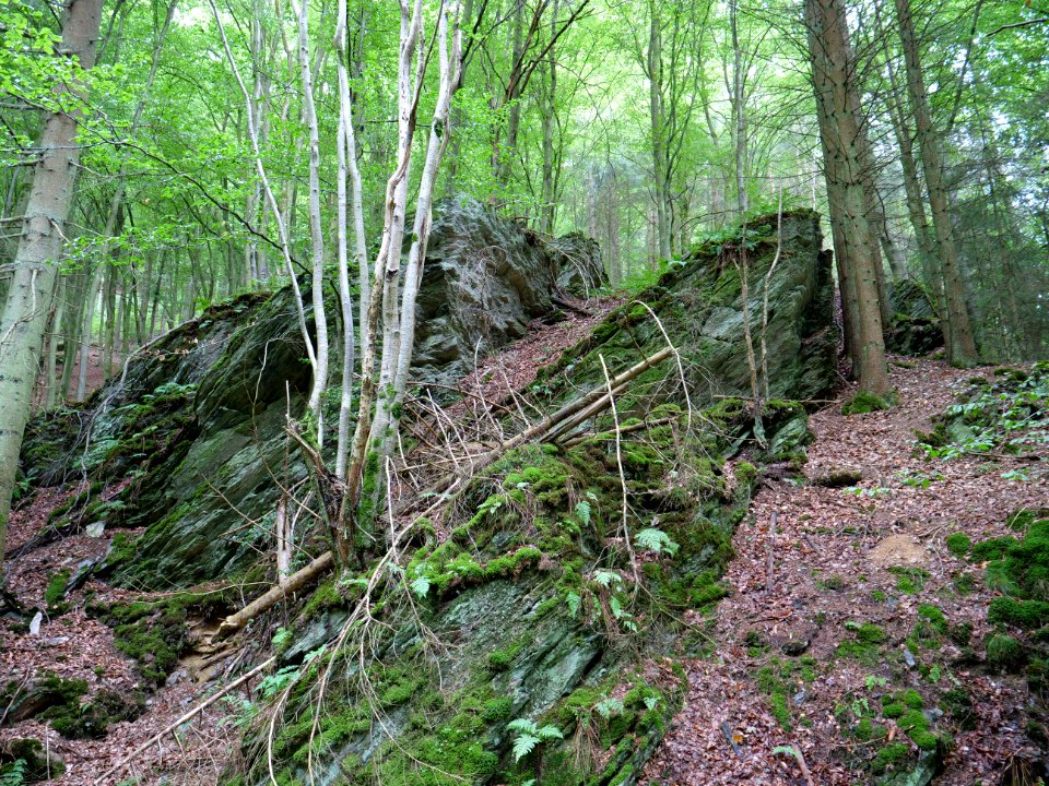 Erkensruhr valley near Leykaul 07