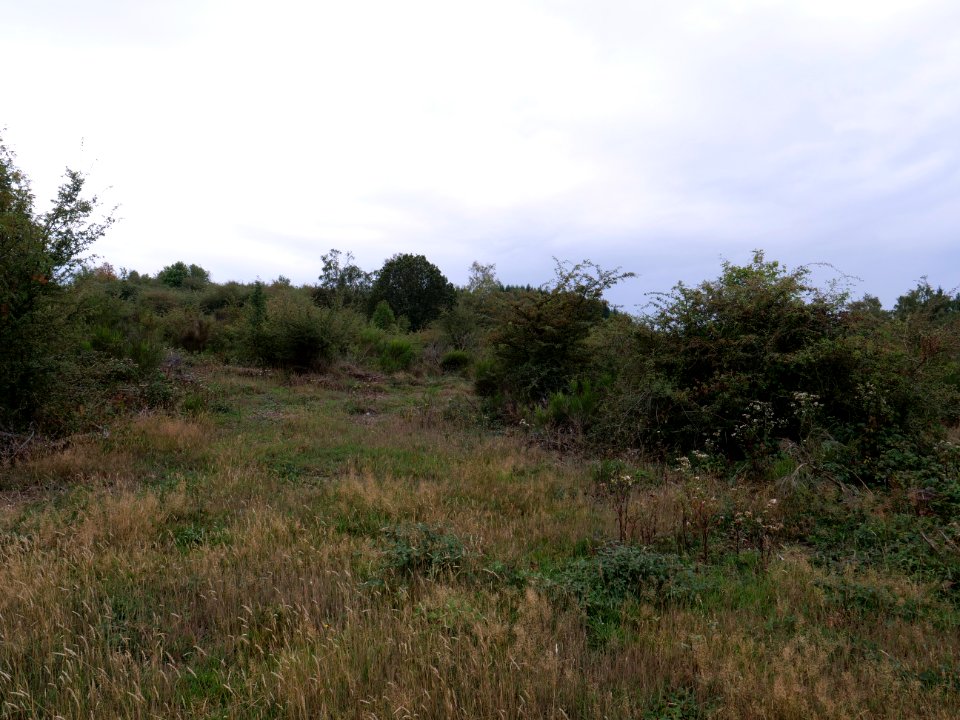 Erkensruhr valley to Gierberg 16
