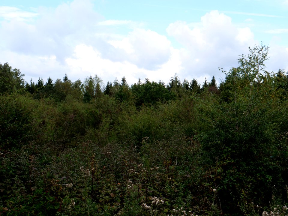 Erkensruhr valley to Gierberg 12