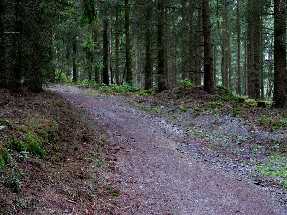 Erkensruhr valley to Gierberg 09