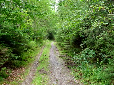 Erkensruhr valley to Gierberg 03