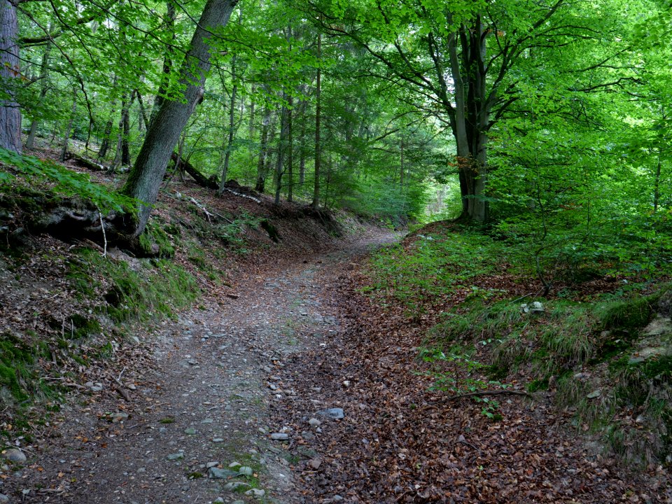 Erkensruhr valley to Gierberg 06