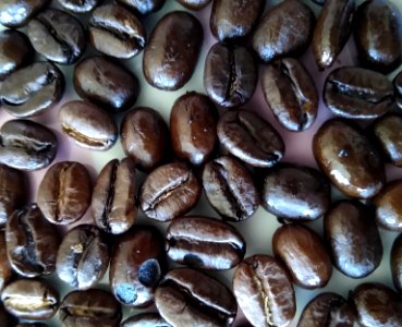 Equal Exchange coffee beans photo