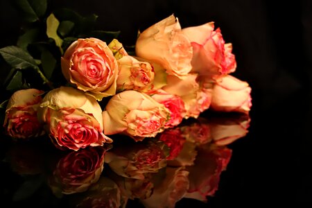 Mirror pink yellow