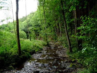 Erkensruhr near Hirschrott 11