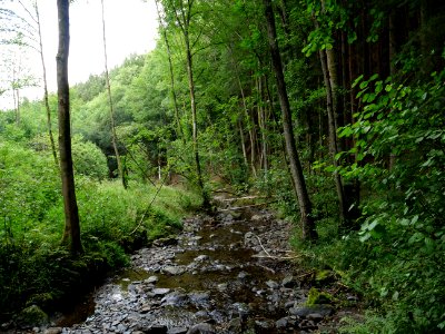 Erkensruhr near Hirschrott 07