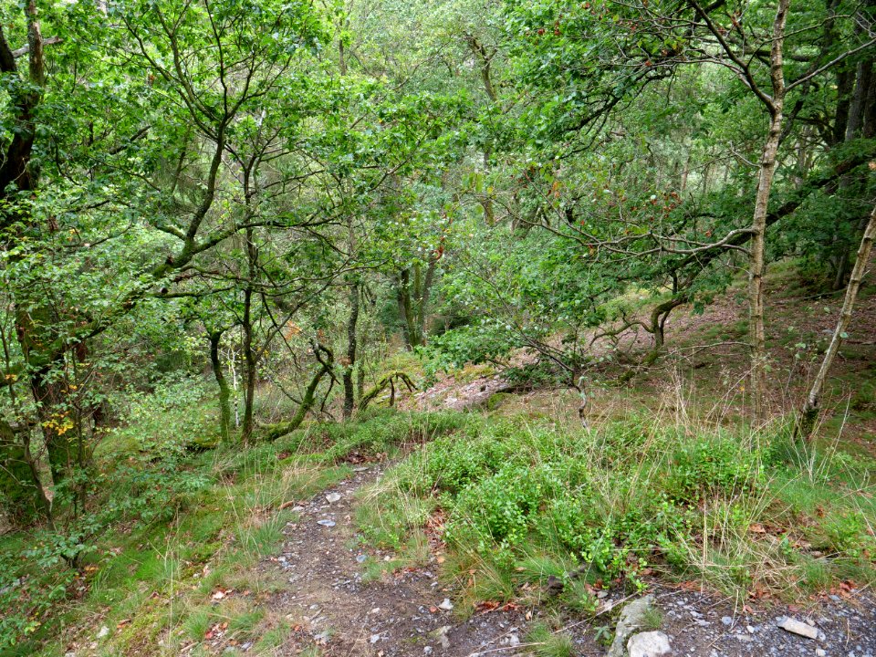 Erkensruhr valley near Leykaul 02