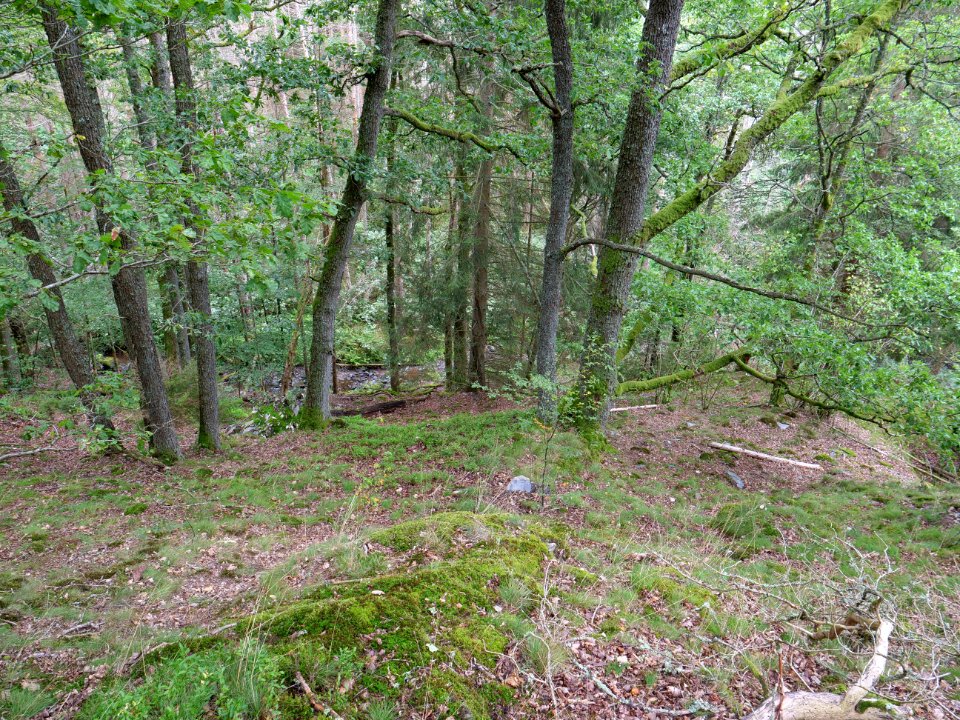Erkensruhr valley near Leykaul 01